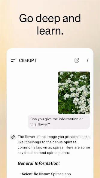 ChatGPT Premium MOD APK